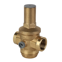 Регулятор давления поршневой MVI с выходом под манометр 1/2" PN40 (20)