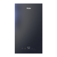 Котел газовый настенный Haier EvoLine 2.32 Ti 32 kW (2К, закр. к.з.) (Р-О) * 
