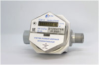Счетчик газовый СГЦИ-6-20/М ЯБКЮ.407239.001-16 (Dn20 ГГ)