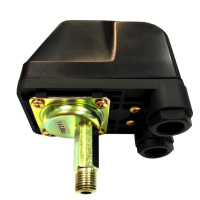 Реле давления PUMPMAN TPS2-3 (2,8-4,2 бар, 1/4" наружная)