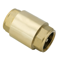 Клапан обратный пружинный муфтовый с металлическим седлом AQUALINK 1 1/4" (60/5) 