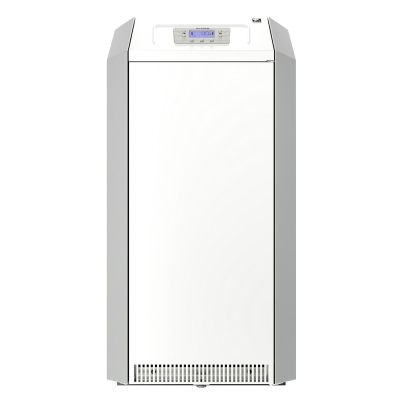 Котел газовый напольный LEMAX CLEVER  30 (1К, откр. камера) 