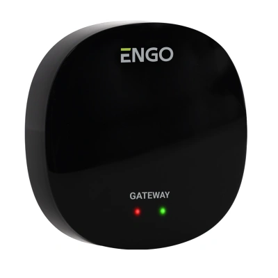 Универсальный интернет шлюз Zigbee для ENGO Smart