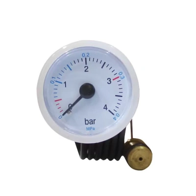 Запчасть для газ. котла Манометр Ferroli (398065490, 398000030)