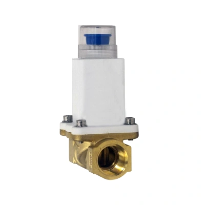 Запорный клапан газовый Ду 25 мм (12)