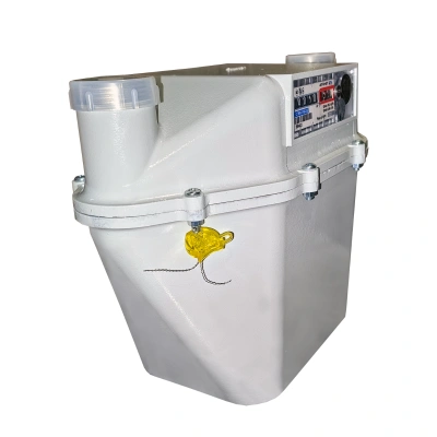 Счетчик газа NOVOGAS СГМН-1М-G 6 межосевое 250 мм, правый 1 1/4" СПРАВА НАЛЕВО)